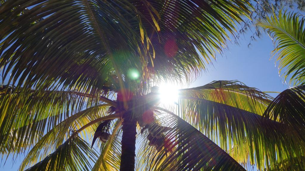 Coconuts Villa Grand-Baie Dış mekan fotoğraf